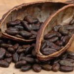 Coklat Bandrek Hanjuang