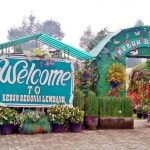 Wisata Taman Bunga Begonia Lembang